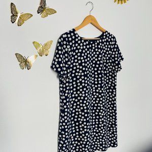 JCREW Polka Dot Women's Dress Size 12